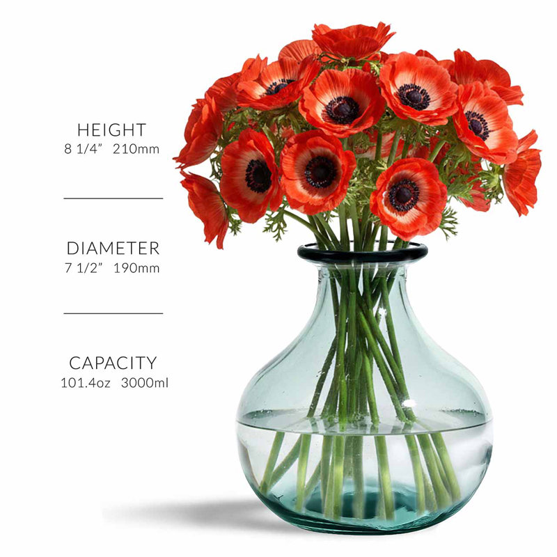 Vase de table en verre 8,25 "Allis, capacité 101 oz, H 8 po x l 7,5 po x P 7,5 po