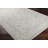 Vizcaino Oriental Indoor Rug-1096888634
