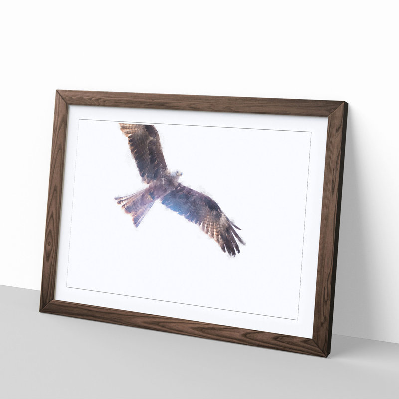 Flying Eagle - Picture Frame Graphic Art Print, 45cm H x 63cm W x 2cm D, Walnut Framed