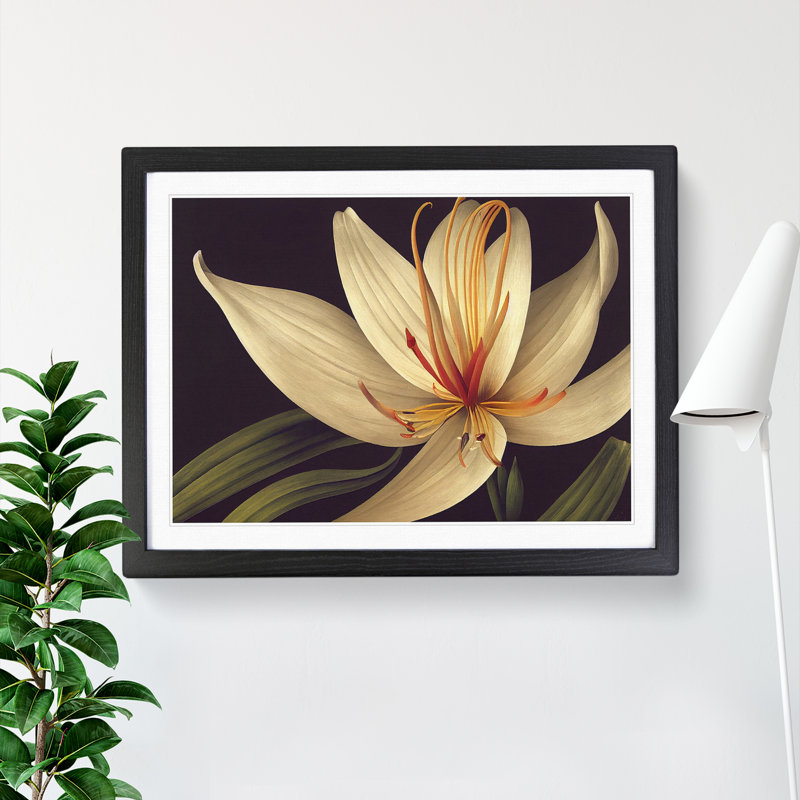 Classic Lily Flower - Framed Print, Black, 34cm H x 46cm W x 2cm D