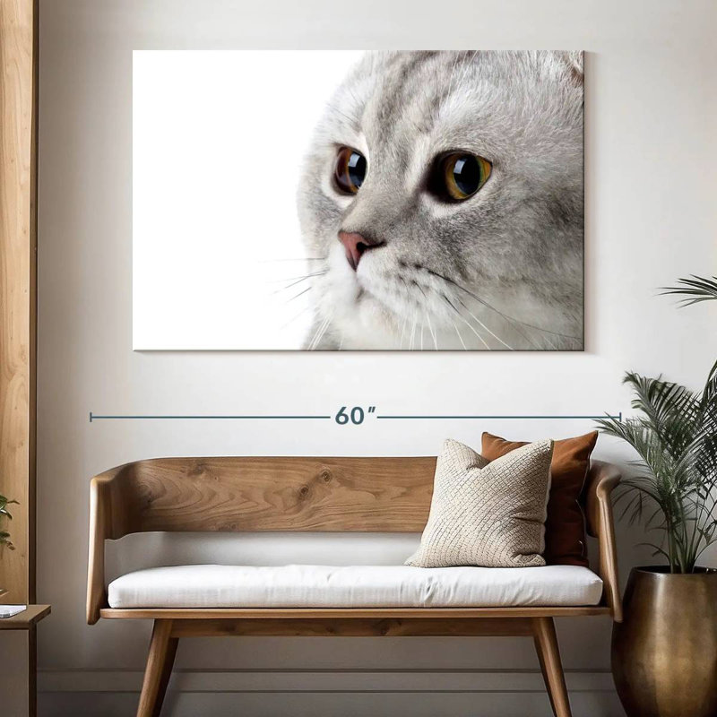 Crowle Fluffy Gray Cat, 34" H x 51" W