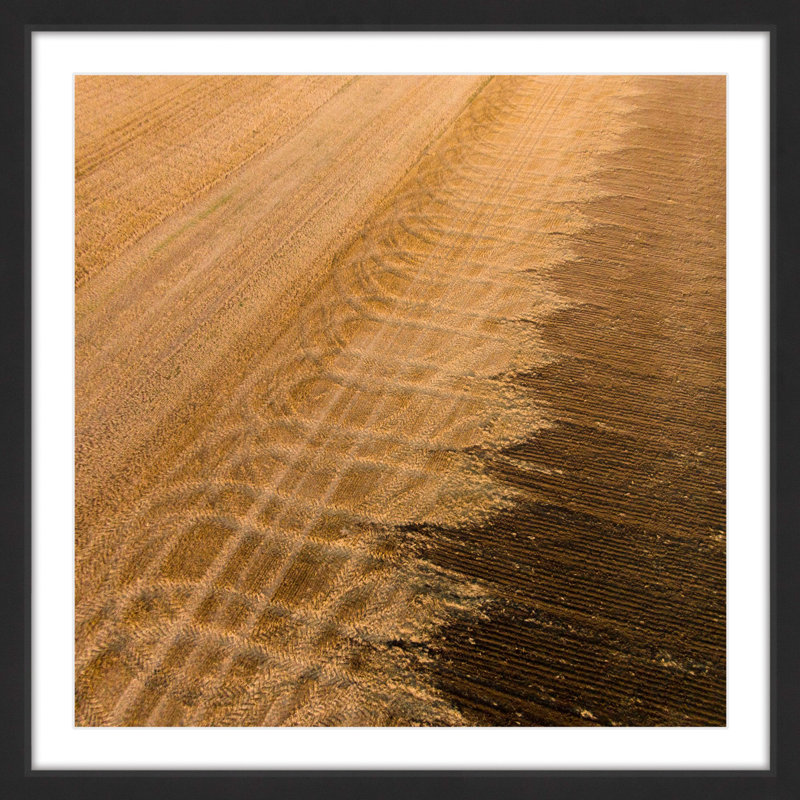 Single Picture Frame Print, 41 cm H x 41 cm W x 3.81 cm D