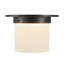 Mineral 8-in Brass Flush Mount-431977228-431977231