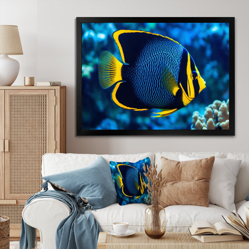 " Finned Fish Wonders II ", 12" H x 20" W x 1" D, Black Single Picture Framed