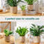 HDHPOT Ceramic Pot Planter-2100550267