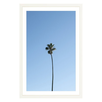 Plants & Flowers Print