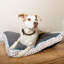 Helton Animal Print Polyester Pet Bed
