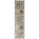 Petronella Viscose Oriental Rug in Ivory