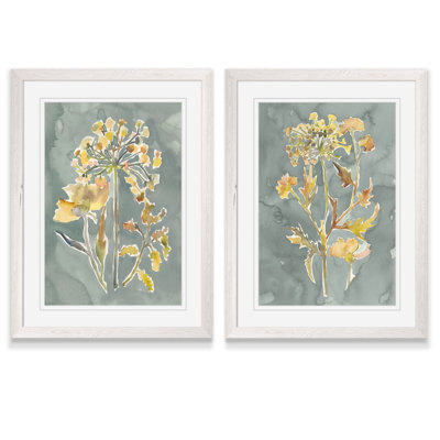 «Collection Florals I», ensemble de 2 reproductions d'art encadrées