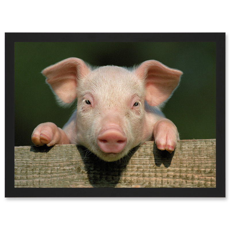 Pig Piglet Cute Farm Pink Baby Babe - Single Picture Frame Print, 9.21'' x 12.72''