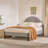 Liann Upholstered Queen Platform Bed-1273699997