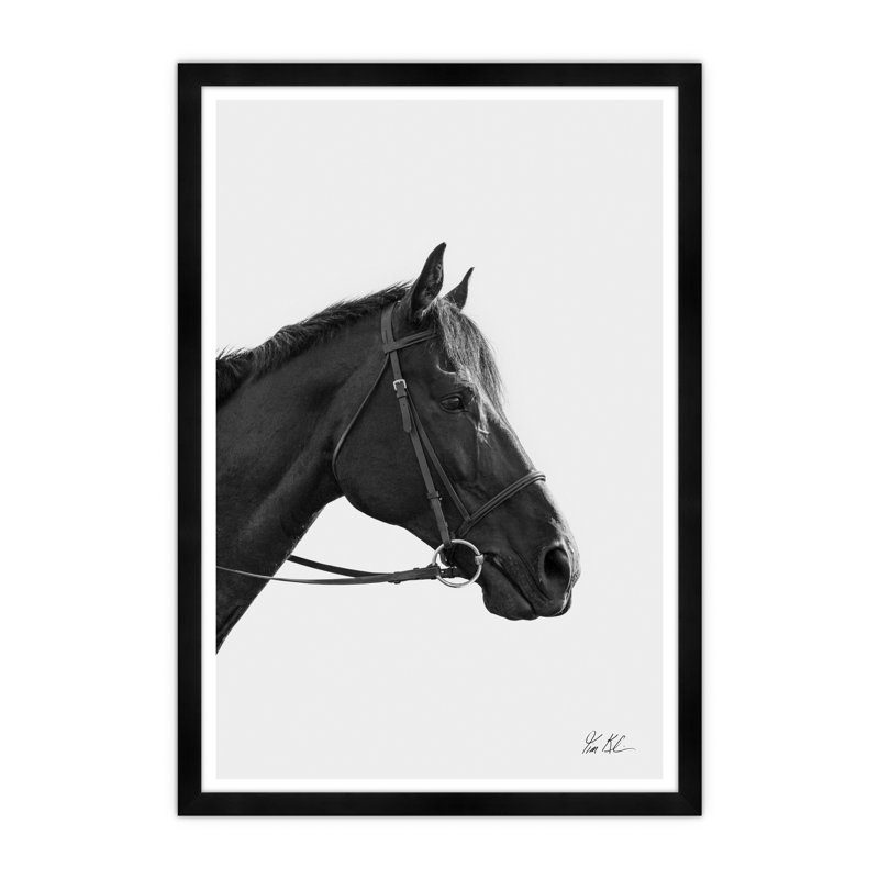 Hunt Club Portrait On White Print by Tim Klein