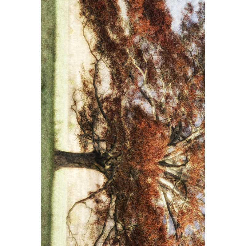 Sunbathed Oak I - Painting on, 61cm H x 91cm W x 3.8cm D