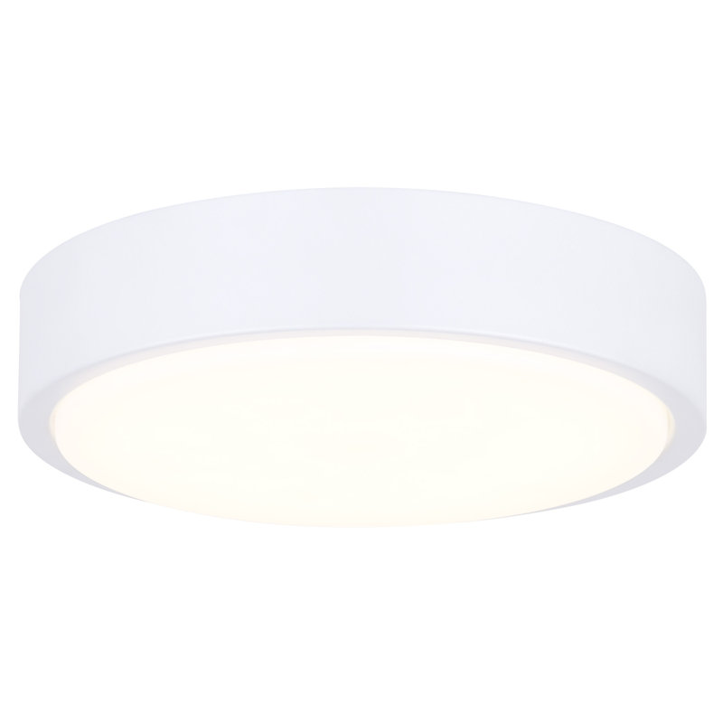 9.16'' LED Bowl Ceiling Fan Light Kit, White