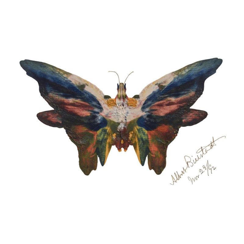 «Butterfly» par Albert Bierstadt - Impression giclée, H 22 po x l 28 po
