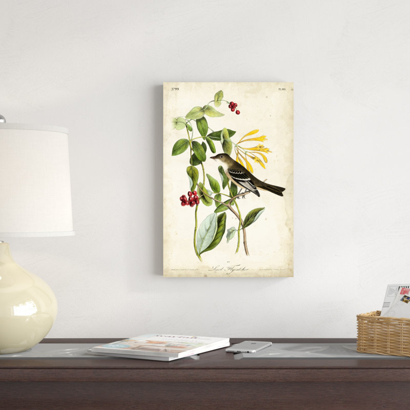 Audubon Bird & Botanical II, H 18 po x l 12 po x P 1,25 po