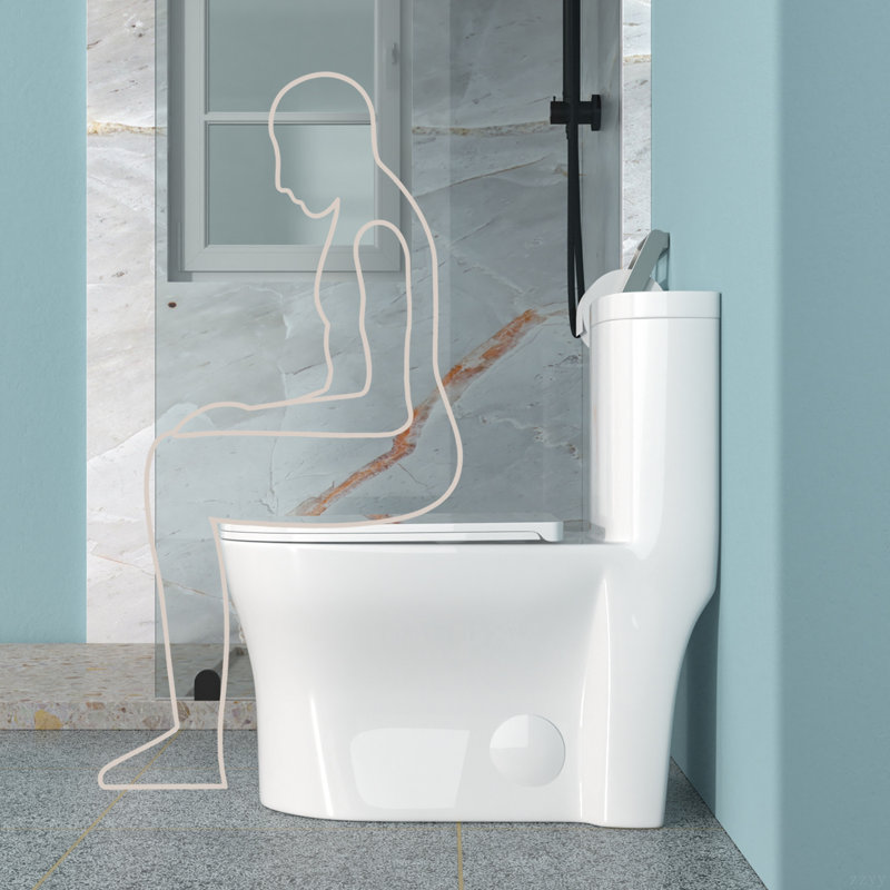 Ceramic One Piece Toilet For Bathroom, 12-Inch Rough-In, 1.22/1.6 GPF, Dual Flush With Soft Clsoing Seat, Powerful Dual Flush MAP 800G