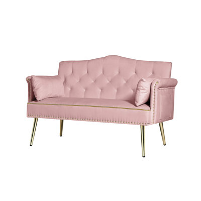 Velours rose 2 places, pieds dorés en métal, rembourrage en mousse, assemblage facile, parfait pour la chambre à coucher, le salon, l’appartement, les espaces loft modernes avec dossier et siège, pieds dorés,