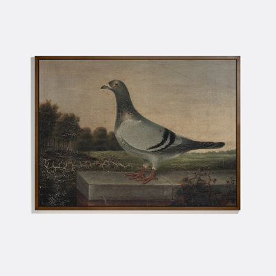 Pigeon Framed Oil Painting Print Canvas