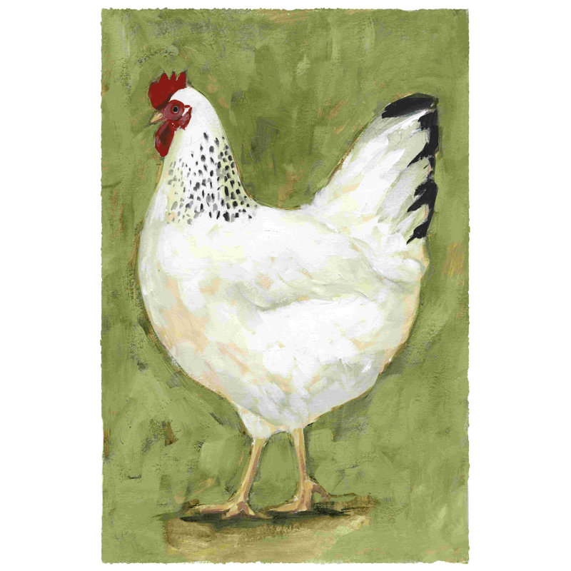 Poulet Scratch II, H 18 po x l 12 po