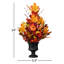Composition d'assortiment mixte