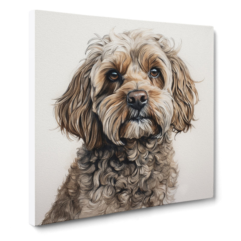 Cockapoo Drawing - No Frame Print