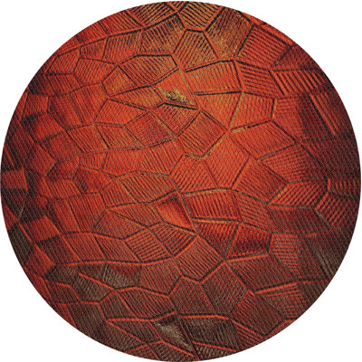 Indoor Rug