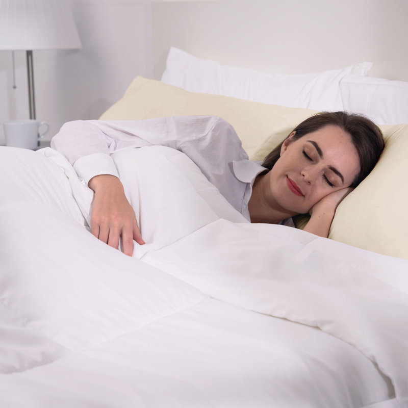 Soft Microfiber Pillowcase - Basics by Wayfair™, Standard, Cream