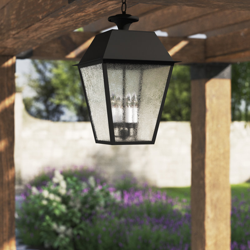 Arnetria 4 - Light Outdoor Hanging Lantern, Black