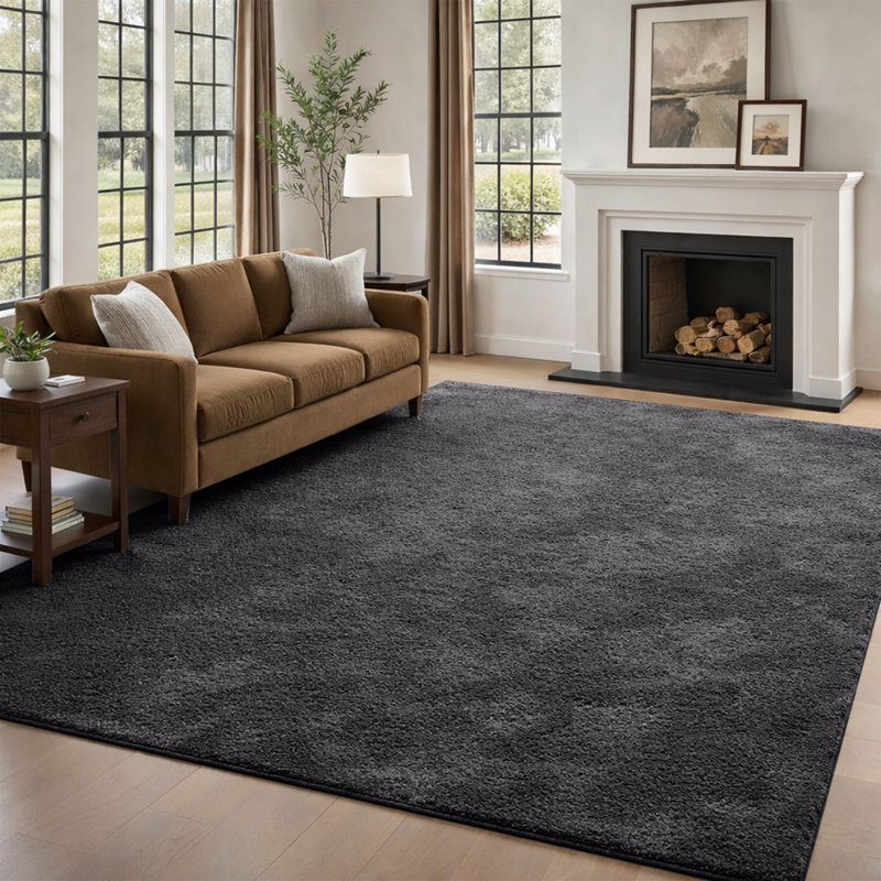 Luxury Fluffy High-Pile Rug for Living Room & Bedroom, 160 cm x 230 cm, Black