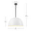 Luminaire suspendu à 1 lumière Reannon