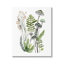 «Green Mushroom Botanicals», reproduction sur toile tendue-97262671