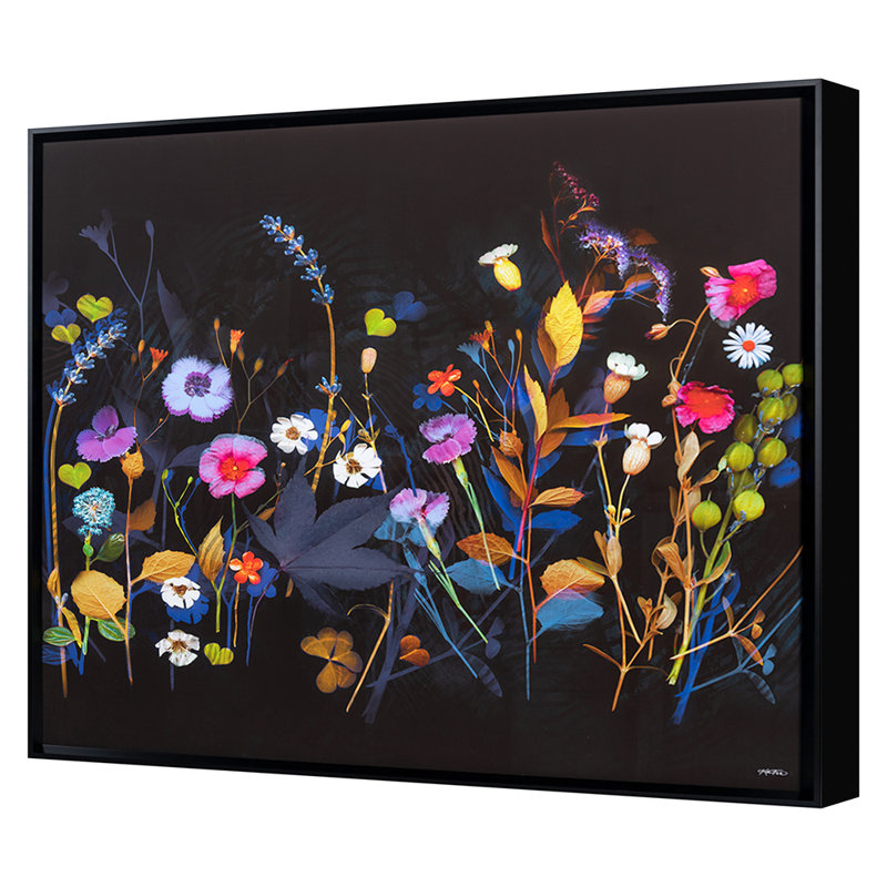 Wildflower Collection 1 Print by Todaro, Katie