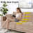 Abram Upholstered Velvet Sofa-1594836298