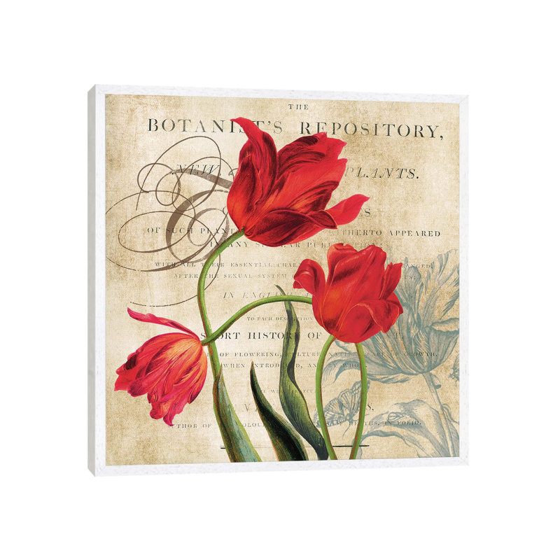 Botanist's Repository by Carol Robinson - Print on Canvas, 66.04 cm H x 66.04 cm W, White Framed