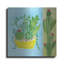 Art mural en métal luxueux «Cacti Garden 4 No Birds and Butterflies» par Farida Zaman, 36 po x 36 po-725910062