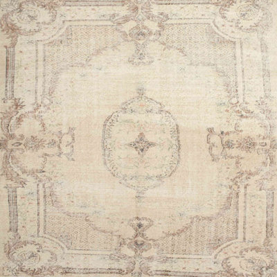 Oriental Indoor Rug