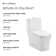Concorde One-Piece Square Toilet, 14" Rough-In 1.1/1.6 Gpf
