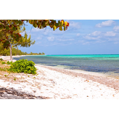 " Cayman Islands "