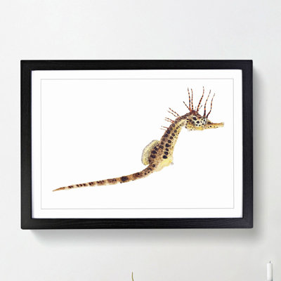 Illustration of a Seahorse by F.E. Clarke - Picture Frame Painting Print on MDF
