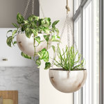 Benally Iron Hanging Dome Wall Planter