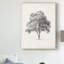 «Vintage Arbor Study I» par Ethan Harper, reproduction d'art graphique sur toile tendue-720190254