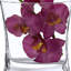 Vase de table Annejet-1565497793