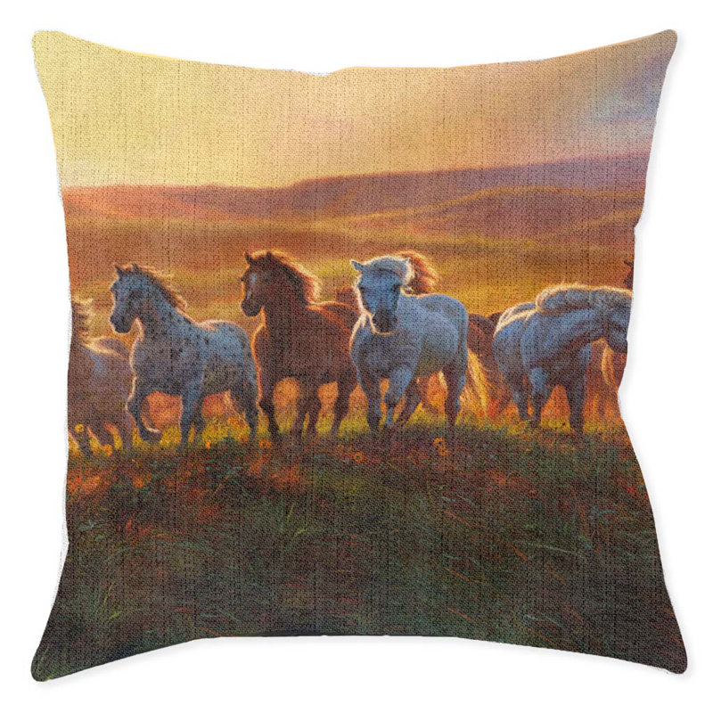 Coussin décoratif tissé Prairie Thunder