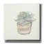 «Succulent IV» par Chris Paschke, estampe numérique sur toile-471587593