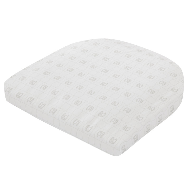 Pina Outdoor 2'' Lounge Chair Chair Pad, 2" H x 20" W x 20" D