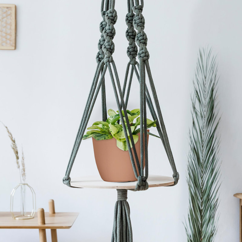 Pots de fleurs d'intérieur avec drainage, ensemble de 5 pots de différentes tailles, en terre cuite, Terra Cotta
