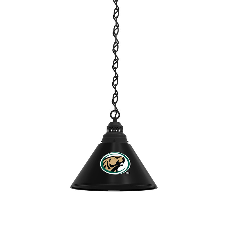 1 - Light Single Pendant, Black, Bemidji State Beavers
