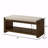 Accent Bench With Lower Shelf Shoe Rack, Padded Seating Bench-536424860-531177053