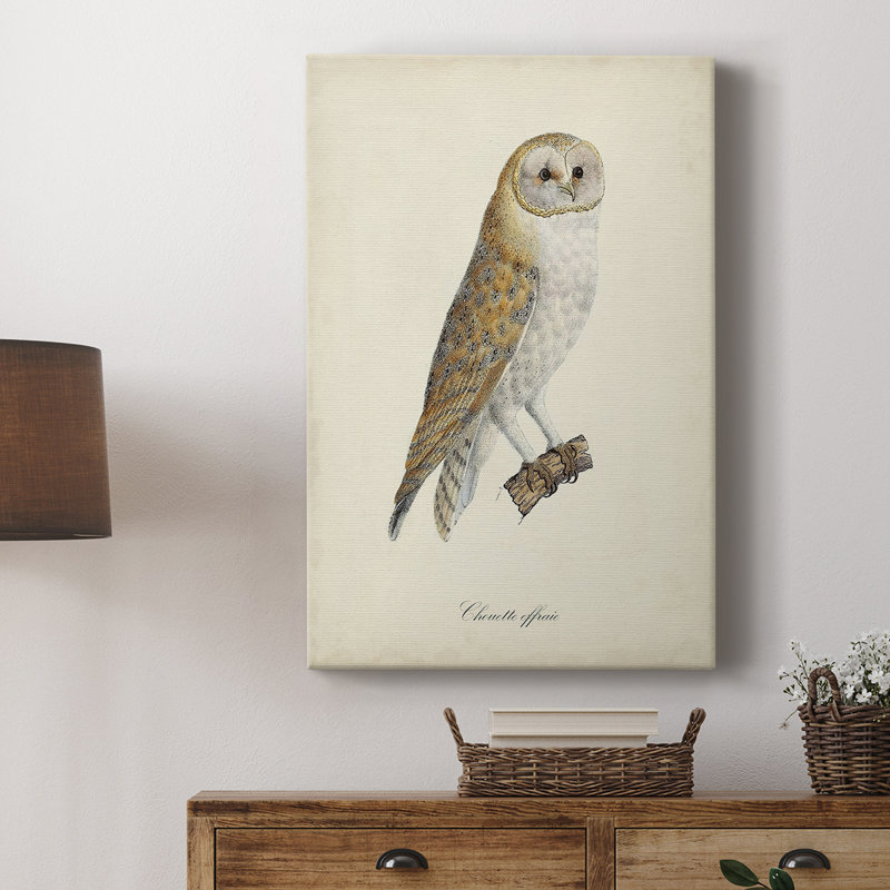 French Owls VI - Galerie Cavas sur mesure, H 27 po x l 18 po